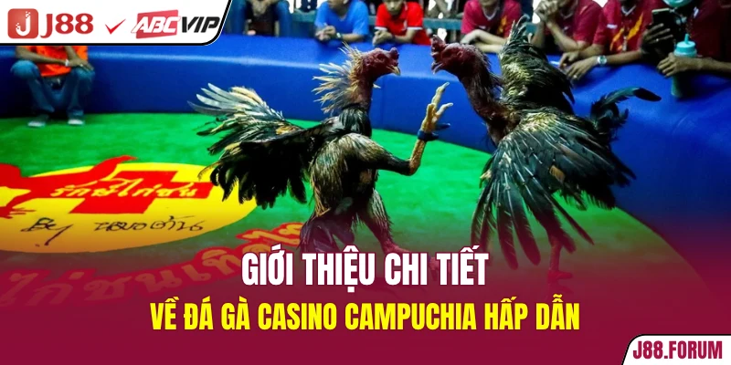 Giới thiệu chi tiết về đá gà casino Campuchia hấp dẫn