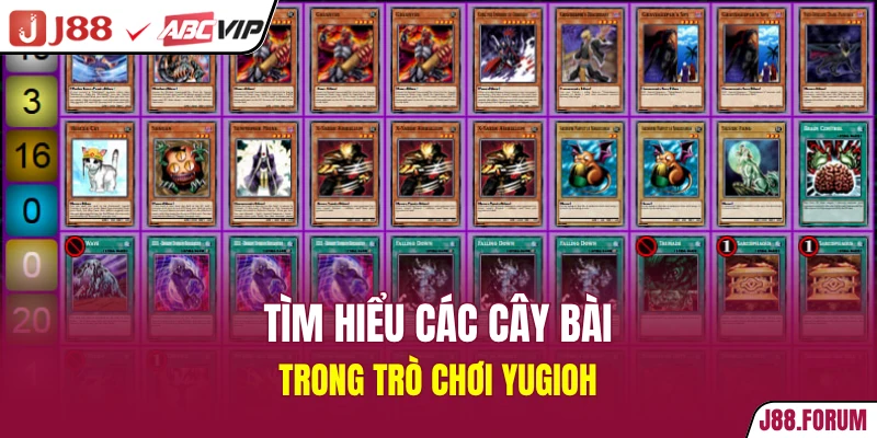 Tìm hiểu các cây bài trong trò chơi Yugioh