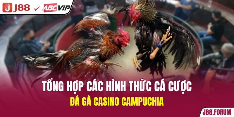 Tổng hợp các hình thức cá cược đá gà casino Campuchia